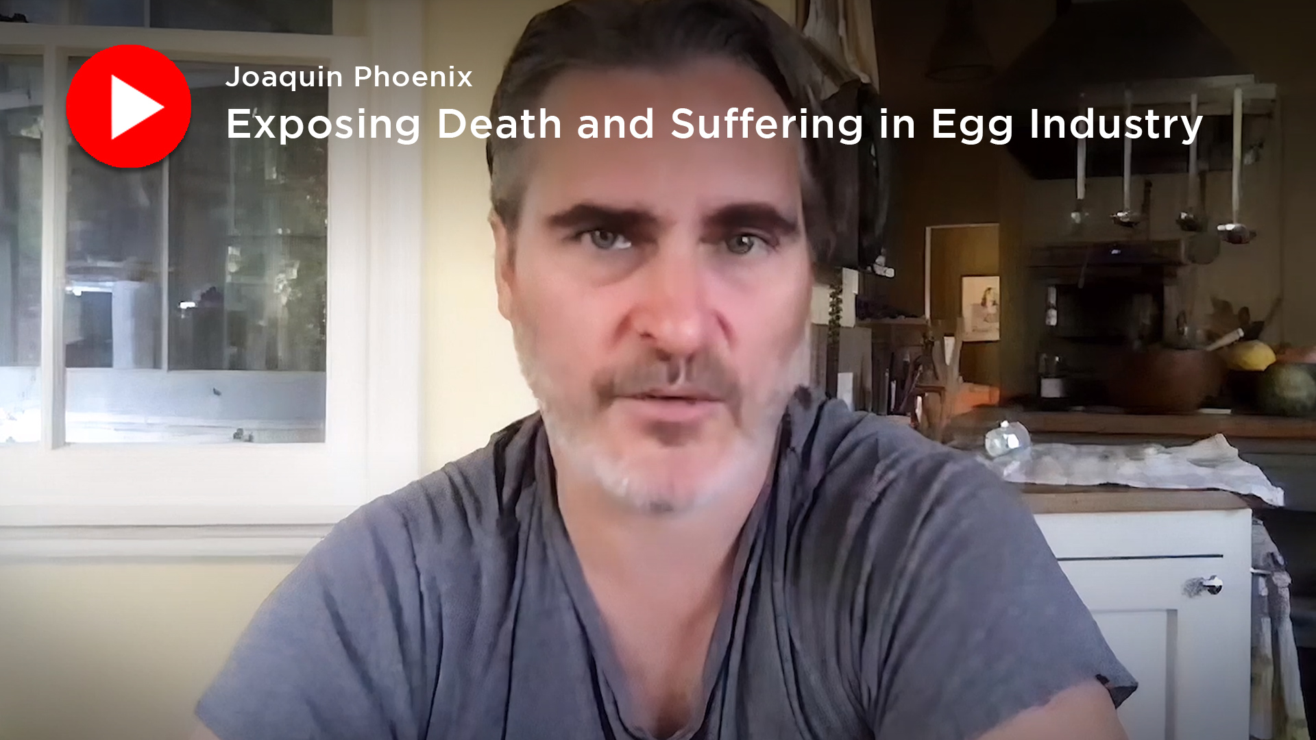 Joaquin Phoenix: Exposing death and suffering in the egg industry