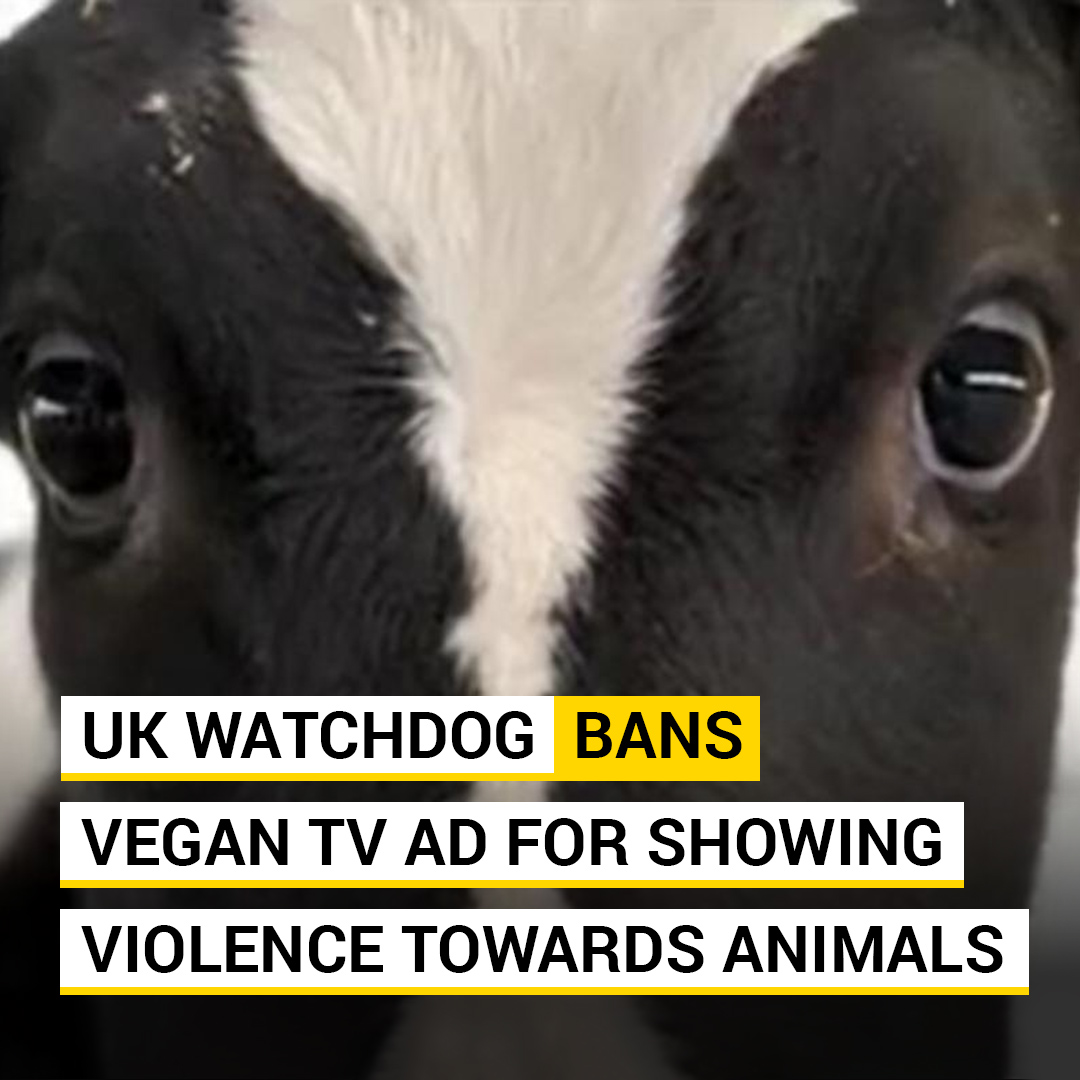 UK watchdog bans vegan TV ad for showing violence towards animals
