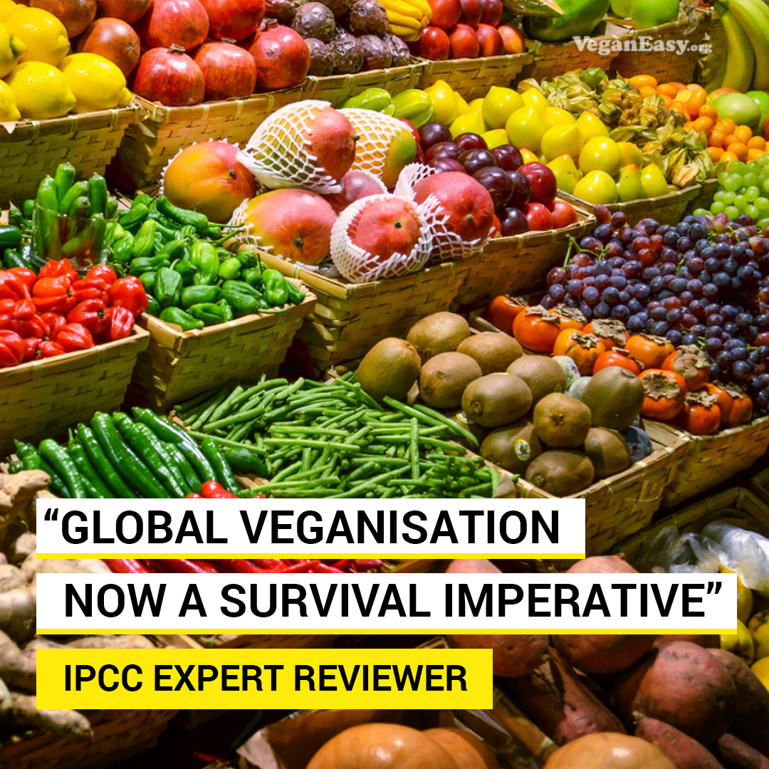 "Global veganisation now a survival imperative" - IPCC expert reviewer